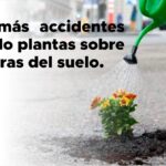 La Iglesia, al margen del proceso electoral