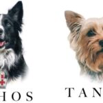 Asesinan al periodista Fredy Román en Chilpancingo, Guerrero