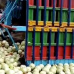 Rosario Robles califica de “audaz y congruente” la decisión de Marcelo Ebrard