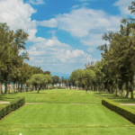 LMP: ¿Dónde ver y a qué hora es el Juego 4 de Tomateros vs Venados hoy 15 de enero?