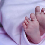 Quarterbacks veteranos, ¿una real solución para ganar?