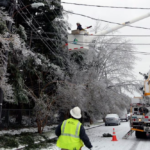 Retorno de corridas de toros a Ciudad de México, un revés a animalistas que entusiasma a aficionados