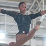 Elecciones 2024: ¿qué cargos se elegirán además de la presidencia?