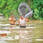 La oleada de cambios en Washington: ¿qué implica la primera ronda de cesiones para el futuro político estadounidense?