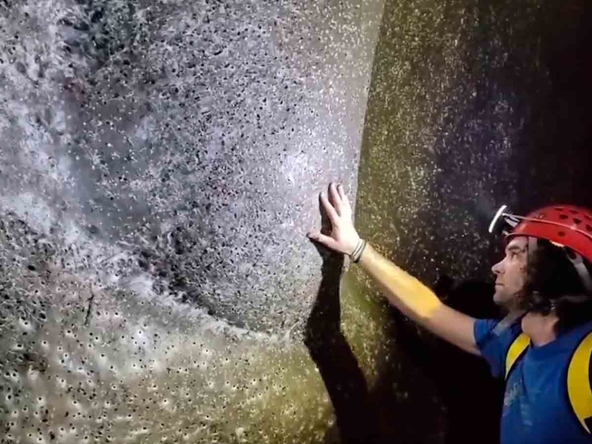 "La gigantesca red europea: descubrimiento histórico de una telaraña que congrega a más de 100.000 arañas y revoluciona el conocimiento sobre estos pequeños titanes del siglo animal"