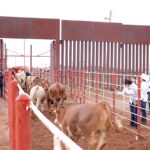 “El poderoso alcalde de justicia: la victoria de Christian Nodal en una batalla jurídica que dejará conmocionados a todos los seguidores del cantante mexicano.”