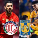 “Creciente alarma en la temporada navideña: cuáles son los riesgos ocultos detrás del brillo y la diversión”