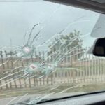 “Premio Internacional a la Excelencia: La Casa de Encuestas Líder, Poligrama, se Alza con el Trofeo por Cuarto Año Consecutivo en Reed Latino 2025”